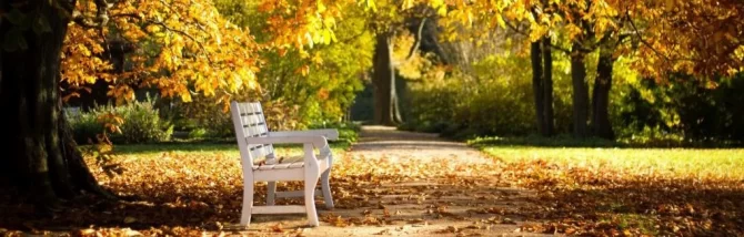 Servicii funerare decedati acasa sau spital 